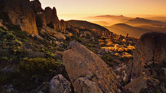 کوه ولینگتون استرالیا